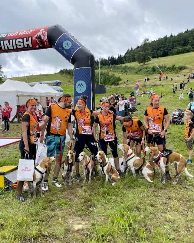 Psie sporty - sportove oblecenie na mieru